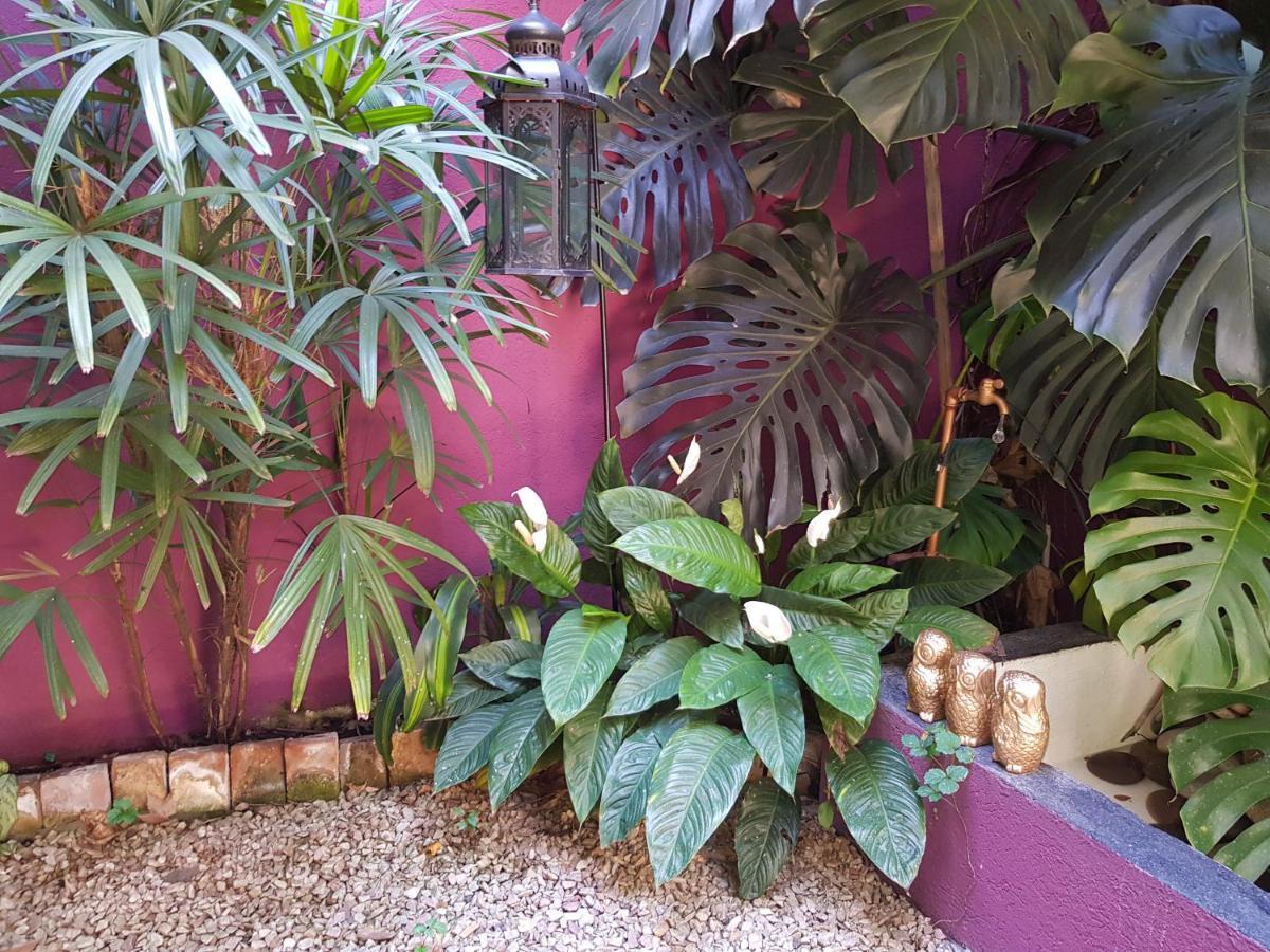 Inspireba - Garden Apartment