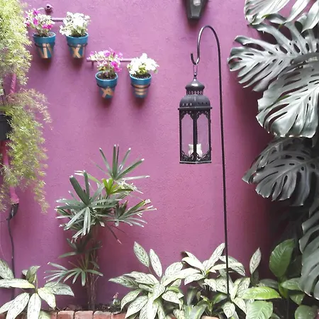 Apartamento Inspireba - Garden Ciudad Autónoma de Ciudad Autónoma de Buenos Aires Exterior foto